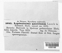 Image Associated With the Occurence